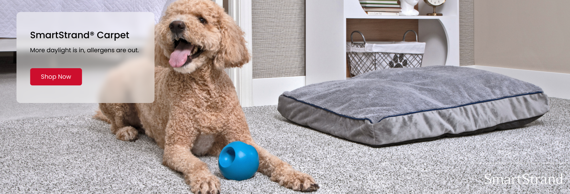 Shop SmartStrand products